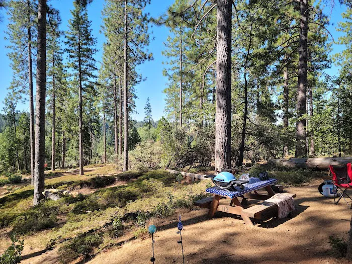 Ghost Mountain RV Campground Picture 8