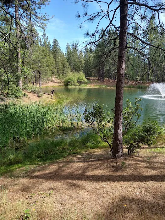 Ghost Mountain RV Campground Picture 10