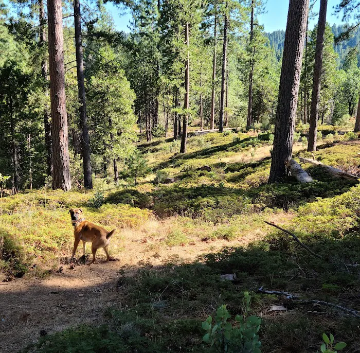 Ghost Mountain RV Campground Picture 9