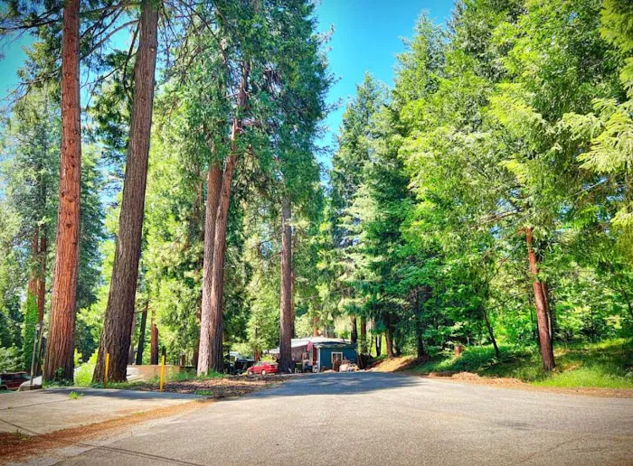 Pollock Pines Mobile Home Park Picture 2