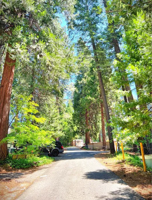 Pollock Pines Mobile Home Park Picture 1