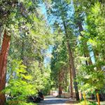 Pollock Pines Mobile Home Park