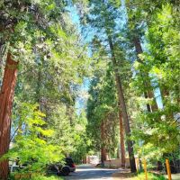 Pollock Pines Mobile Home Park ico