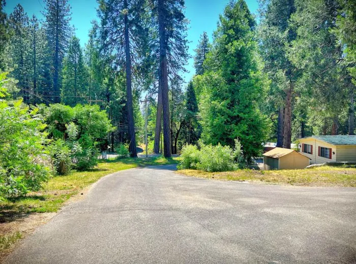 Pollock Pines Mobile Home Park Picture 4