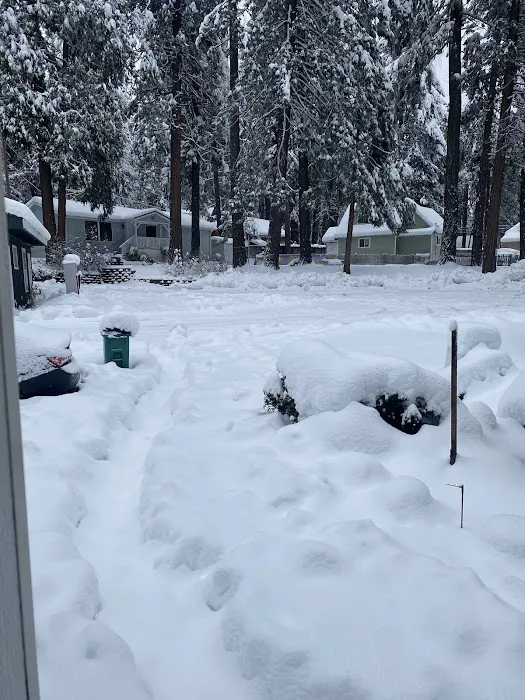 Sierra Pines Mobile Home Park Picture 2
