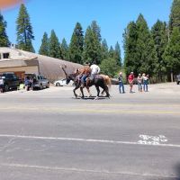 Sierra Pines Mobile Home Park ico