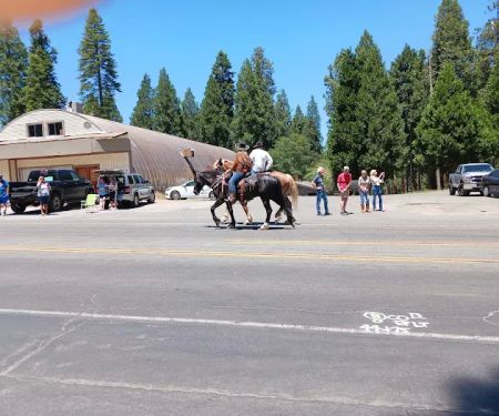 Sierra Pines Mobile Home Park