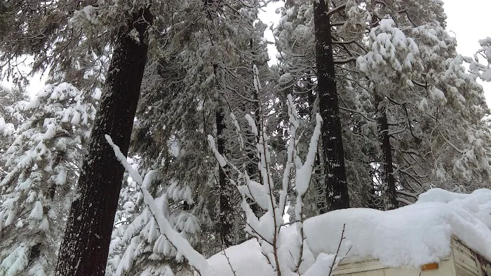 Sierra Pines Mobile Home Park Picture 6