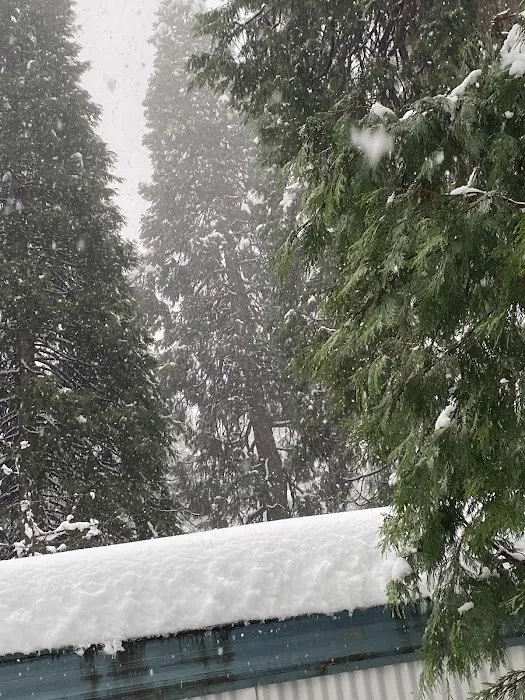 Sierra Pines Mobile Home Park Picture 5