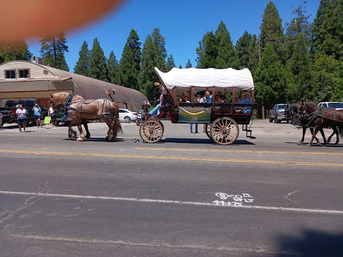 Sierra Pines Mobile Home Park Picture 8