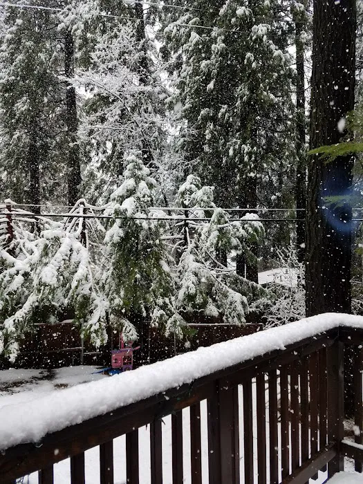 Sierra Pines Mobile Home Park Picture 9