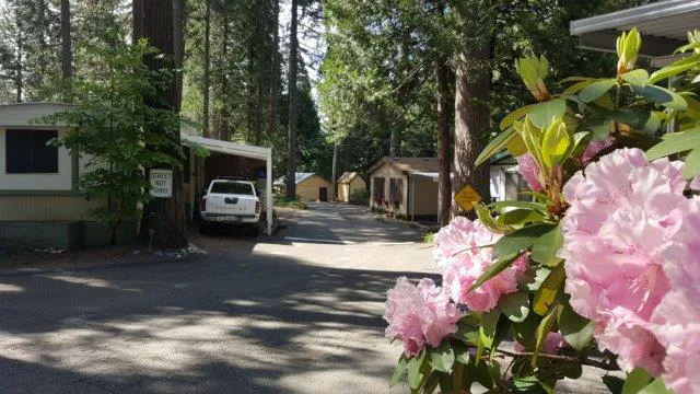 Bonanza Mobile Home Park Picture 7