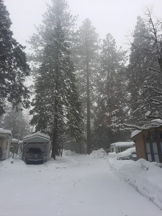 Dogwood Mobile Home Park Picture 1