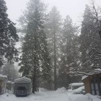 Dogwood Mobile Home Park ico