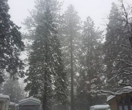 Dogwood Mobile Home Park