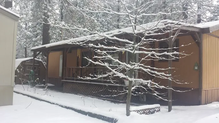 Dogwood Mobile Home Park Picture 3