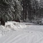 Pinecrest Mobile Home Park