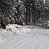 Pinecrest Mobile Home Park ico