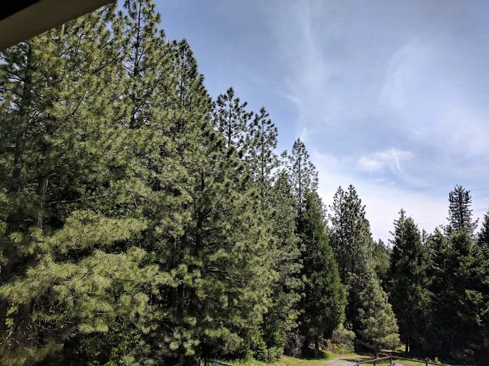 Pinecrest Mobile Home Park Picture 8