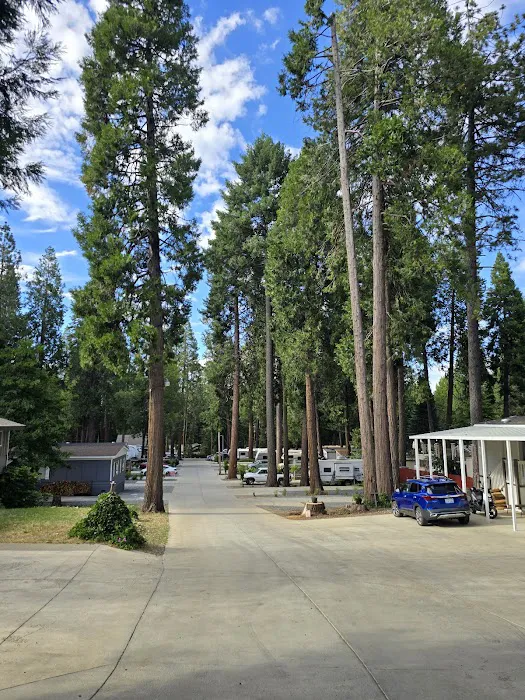 Hidden Glen Mobile Home Park Picture 3