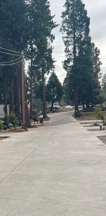 Hidden Glen Mobile Home Park Picture 7