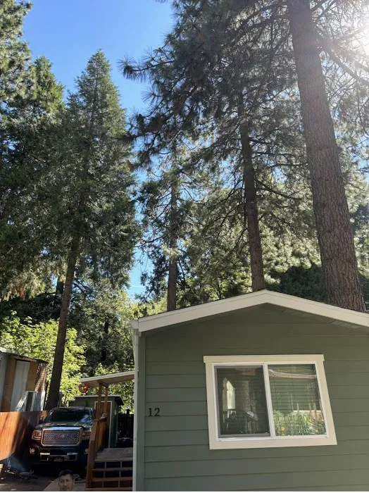 Heavenly Pines MHP Picture 7