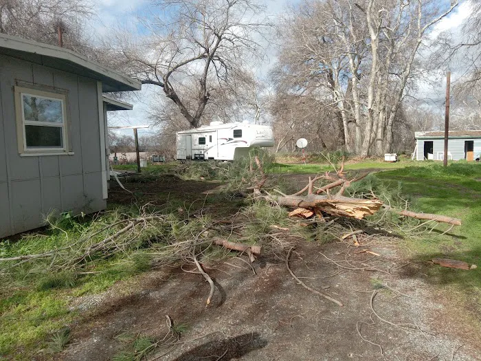 Riverside Crossing RV Park Picture 3