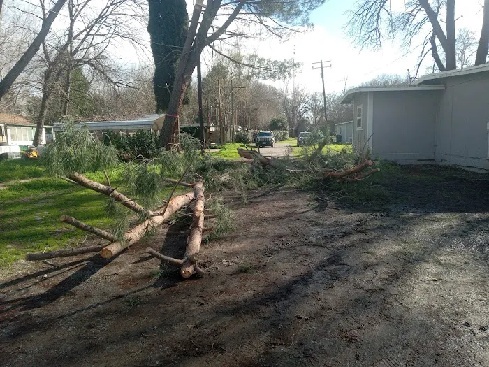 Riverside Crossing RV Park Picture 2