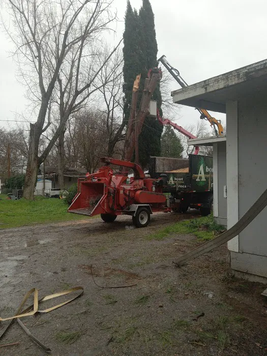 Riverside Crossing RV Park Picture 1