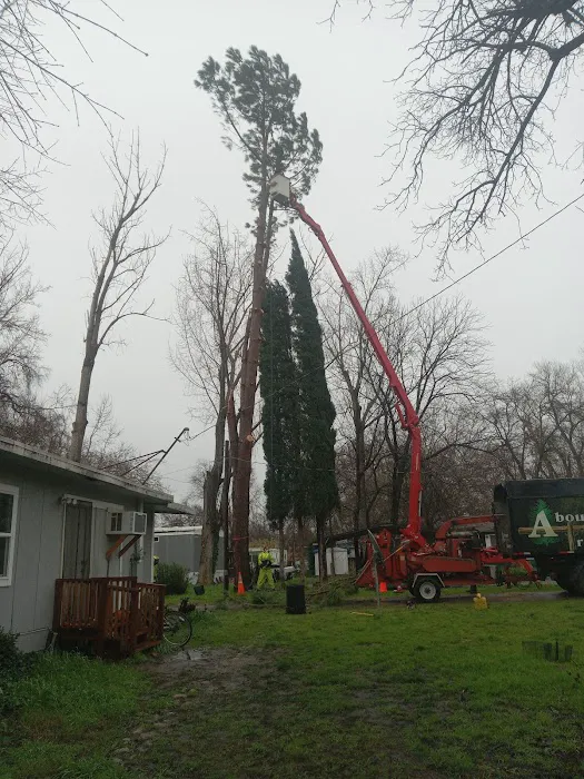 Riverside Crossing RV Park Picture 7