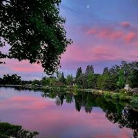 Lake Oaks Senior Mobile Home ico