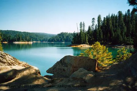 Quail Ridge RV Park Picture 4