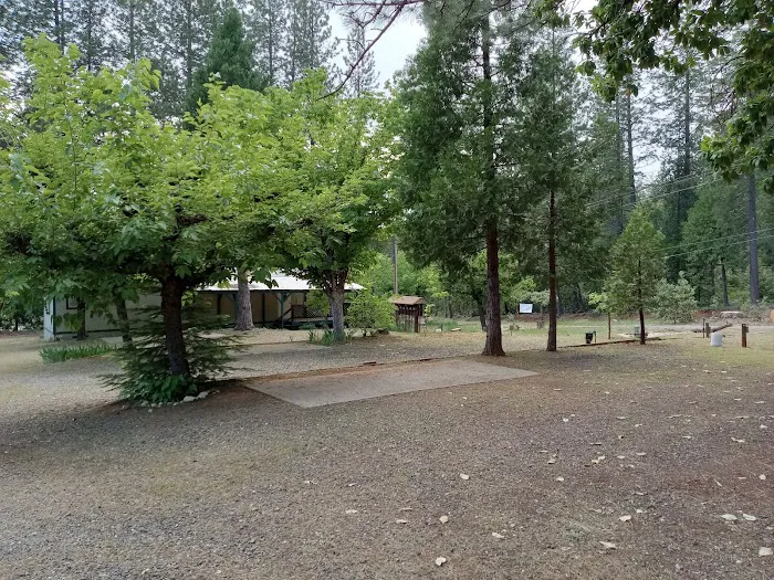 Forbestown Mobile Home and RV Park Picture 2