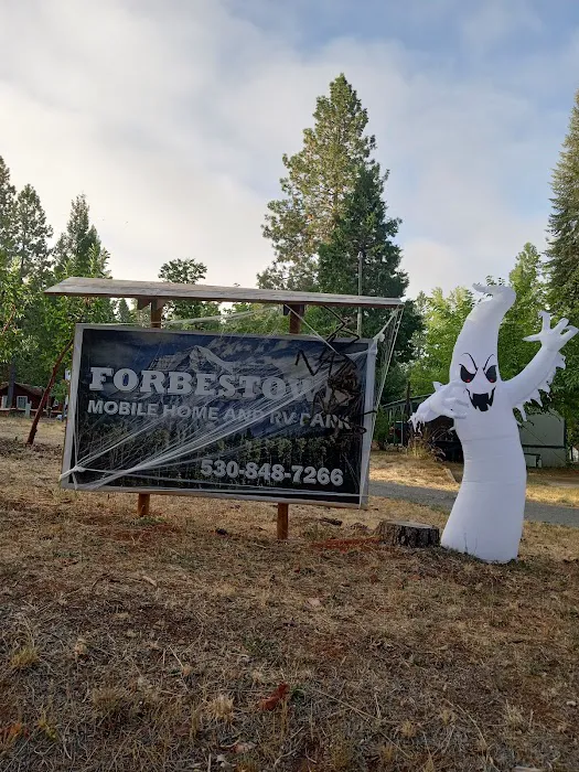 Forbestown Mobile Home and RV Park Picture 7