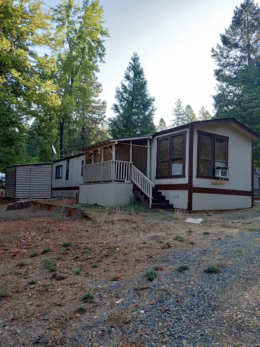 Forbestown Mobile Home and RV Park Picture 5