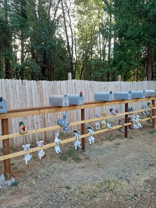 Forbestown Mobile Home and RV Park Picture 6