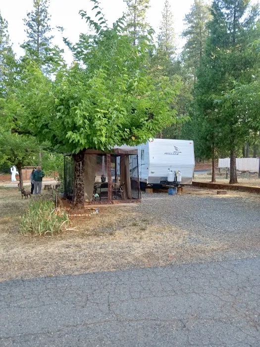 Forbestown Mobile Home and RV Park Picture 9