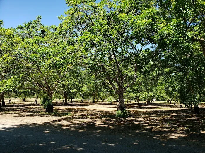 River View Mobile Home Community Picture 6