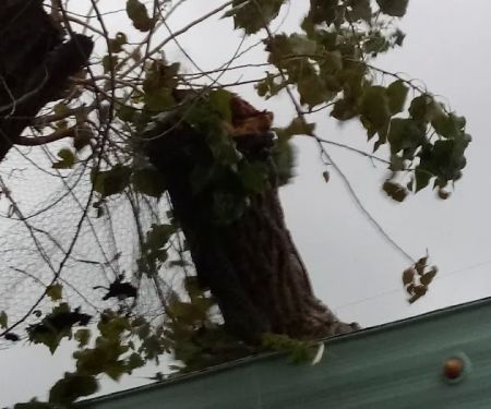 Friendly Acres Mobile Home Park