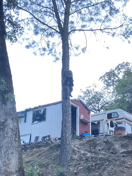 Gold Beach Mobile Home community Picture 3