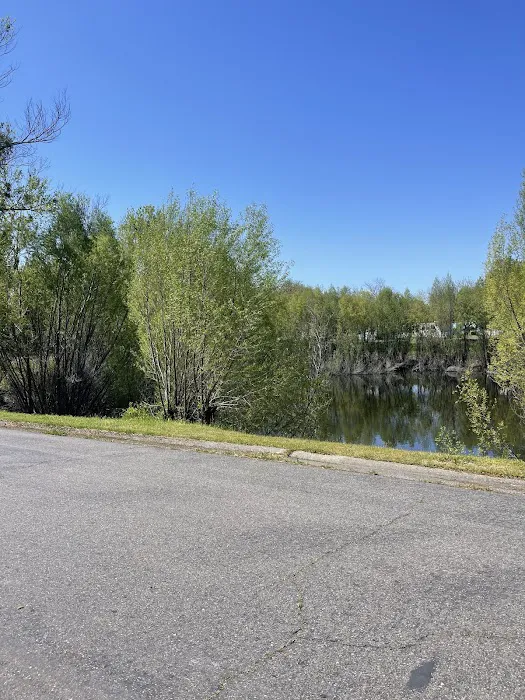 Red Bluff RV & MH Village Picture 4