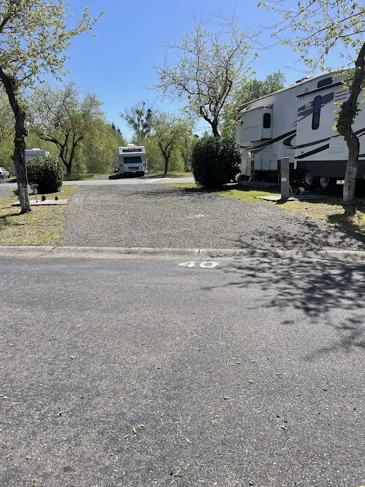 Red Bluff RV & MH Village Picture 2