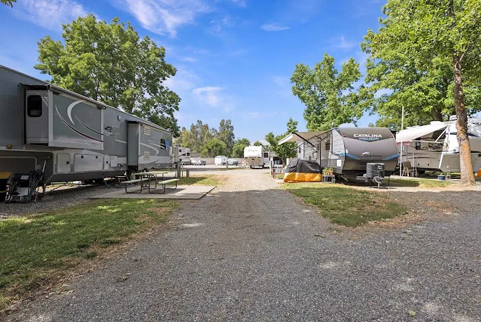 Red Bluff RV Park Picture 2