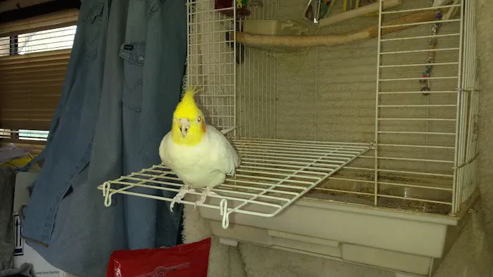 Bend Mobile Home & RV Park Picture 2