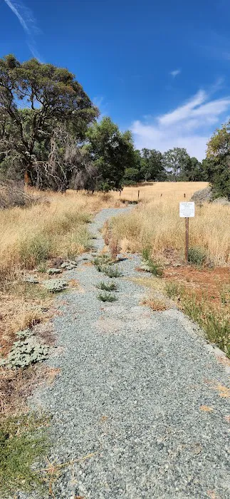 Rancho Del Oro Manufactured Home Community Picture 7