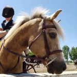 Amberwood Mobile Home Park