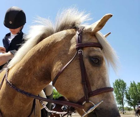 Amberwood Mobile Home Park