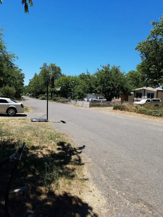 Amberwood Mobile Home Park Picture 8