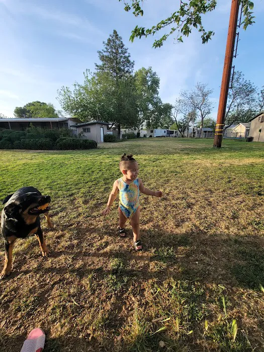 Cottonwood Oaks Mobile Home Park Picture 4