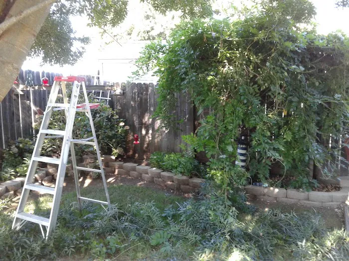 Ione Mobile Home Park Picture 5